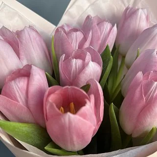Букет из 11 розовых тюльпанов