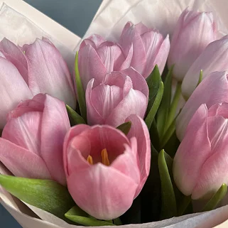 Букет из 11 розовых тюльпанов