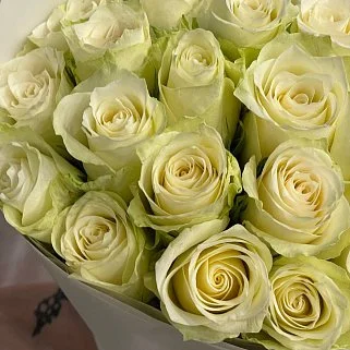 Букет 25 белых роз 40 см (Кения)