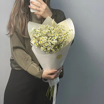 Букет ромашек XS