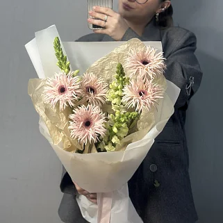 Дуо-букет сортовых гербер и антирринума S