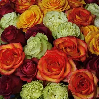 Букет из 51 розы в теплых тонах