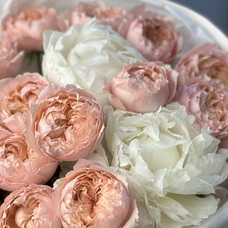 Дуо-букет пионов и роз Juliet S