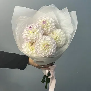 Букет из 5 бело-лиловых георгинов