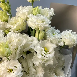 Букет из 7 белых эустом