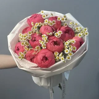 Букет из 11 пионов Coral Sunset и матрикарии