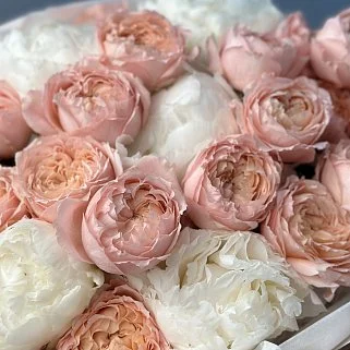 Дуо-букет пионов и роз Juliet M