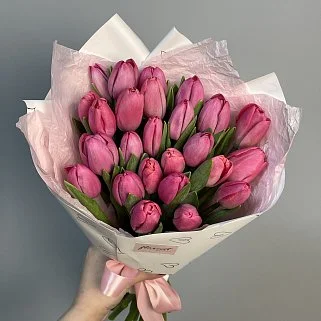 Букет из 25 малиновых тюльпанов