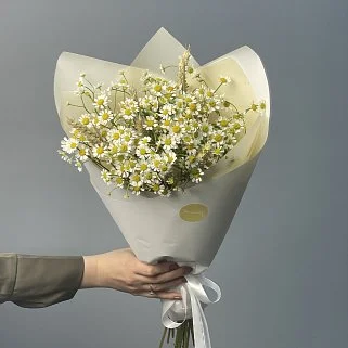 Букет ромашек XS