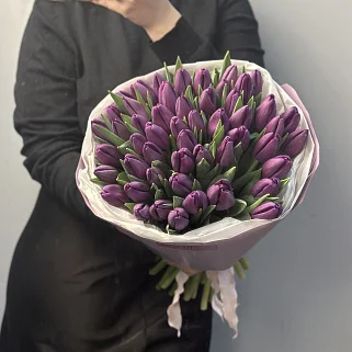 Букет из 51 фиолетового тюльпана