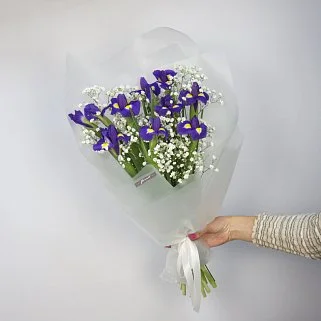 Букет из 9 ирисов и гипсофилы