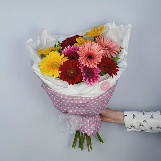 Букет из 11 гербер микс