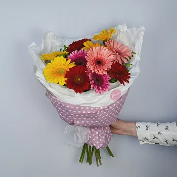 Букет из 11 гербер микс