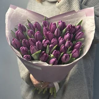Букет из 35 фиолетовых тюльпанов