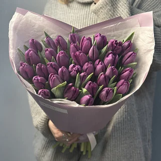 Букет из 35 фиолетовых тюльпанов