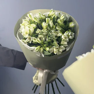 Букет из 11 белых альстромерий