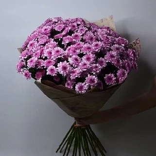 Букет из 25 кустовых хризантем