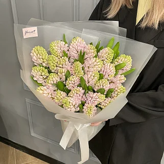 Букет из 25 розовых гиацинтов