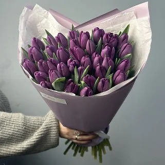 Букет из 35 фиолетовых тюльпанов