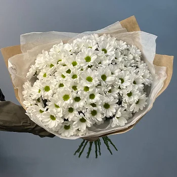 Букет из 15 белых кустовых хризантем Bacardi