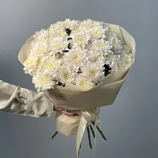 Букет из 9 кустовых хризантем Pastela Rose