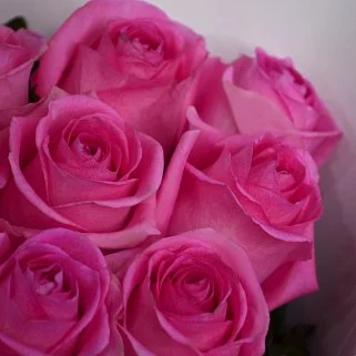 Букет из 25 нежно-розовых роз 60см (Россия)