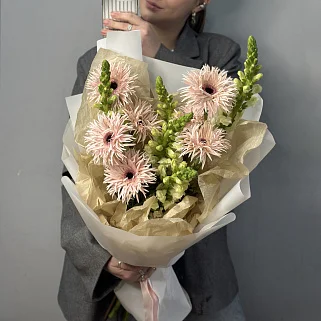 Дуо-букет сортовых гербер и антирринума M