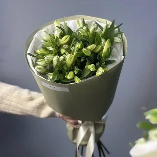 Букет из 9 белых альстромерий