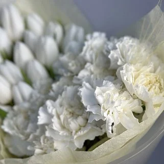 Дуо-букет белых тюльпанов и гвоздик M