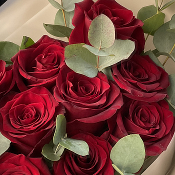 Букет красных роз Explorer и эвкалипта S