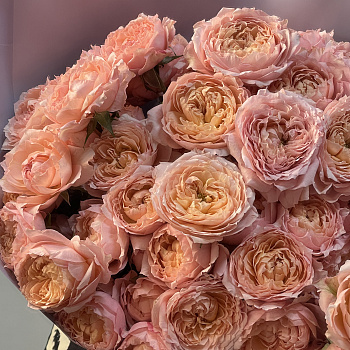 Букет из 15 кустовых пионовидных роз Juliet