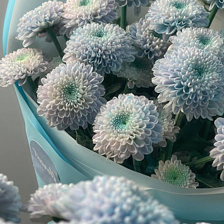 Букет из 5 кустовых хризантем Dusty Mermaid