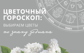 Цветочный гороскоп: выбираем цветы по знаку зодиака
