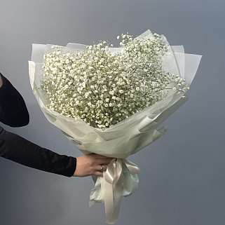 Букет из 5 веточек гипсофилы