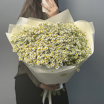 Букет ромашек XL