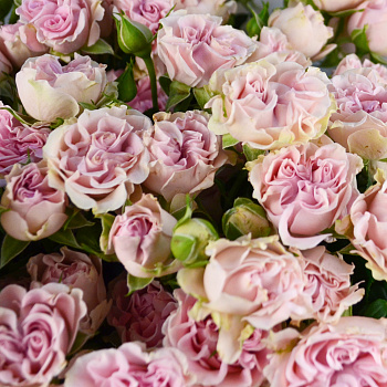 Букет из 25 кустовых пионовидных роз Sweet Flow