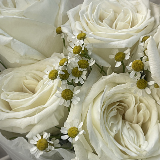 Дуо-букет роз Playa Blanca и матрикарии S