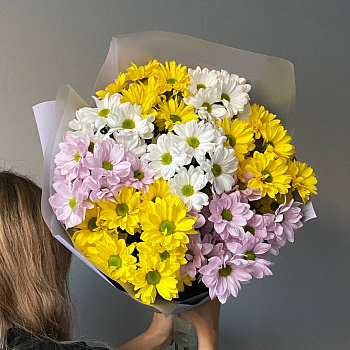 Букет из 9 кустовых хризантем (микс)