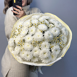 Дуо-букет хризантем Baltica и матрикарии M