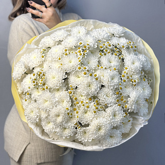 Дуо-букет хризантем Baltica и матрикарии L