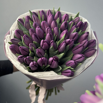 Букет из 51 фиолетового тюльпана