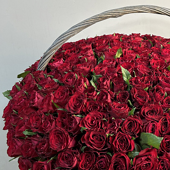 Композиция из 301 розы в корзине