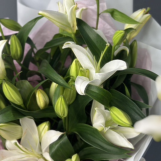 Букет из 9 белых лилий