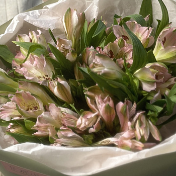 Букет из 7 розовых альстромерий