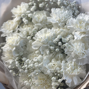 Букет из 19 белых гвоздик и гипсофилы