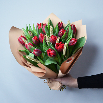 Букет из 15 красных пионовидных тюльпанов с колосками