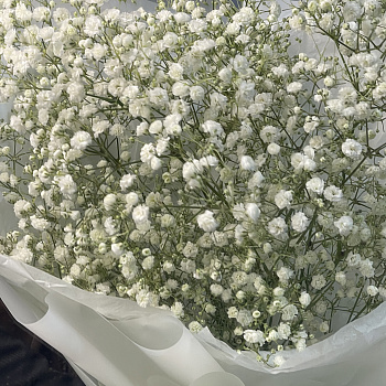 Букет из 5 веточек гипсофилы