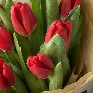 Букет из 11 красных тюльпанов