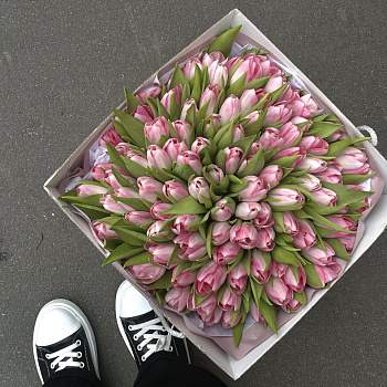 Букет из 101 розового тюльпана