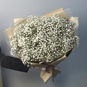 Букет из 11 веточек гипсофилы